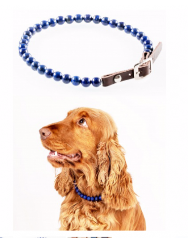 COLLIER CHIEN LAPIS LAZULI : PROBLEME PEAU, DEMANGEAISONS, SOLITUDE : LITHOTHERAPIE la colonne vertébrale